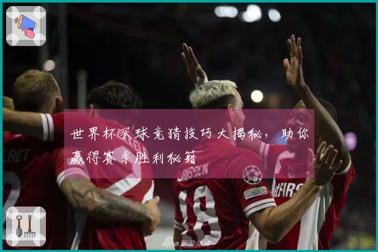 世界杯买球竞猜技巧大揭秘，助你赢得赛季胜利秘籍