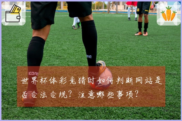 世界杯体彩竞猜时如何判断网站是否合法合规？注意哪些事项？