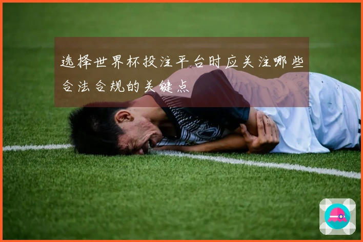 选择世界杯投注平台时应关注哪些合法合规的关键点