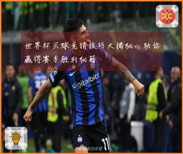 世界杯买球竞猜技巧大揭秘，助你赢得赛季胜利秘籍