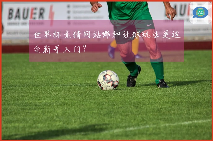 世界杯竞猜网站哪种让球玩法更适合新手入门？